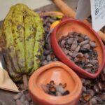 Cacao en RD impulsa economía con festival y exportaciones