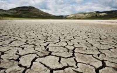 El cambio climático altera los modelos de predicción tradicionales.