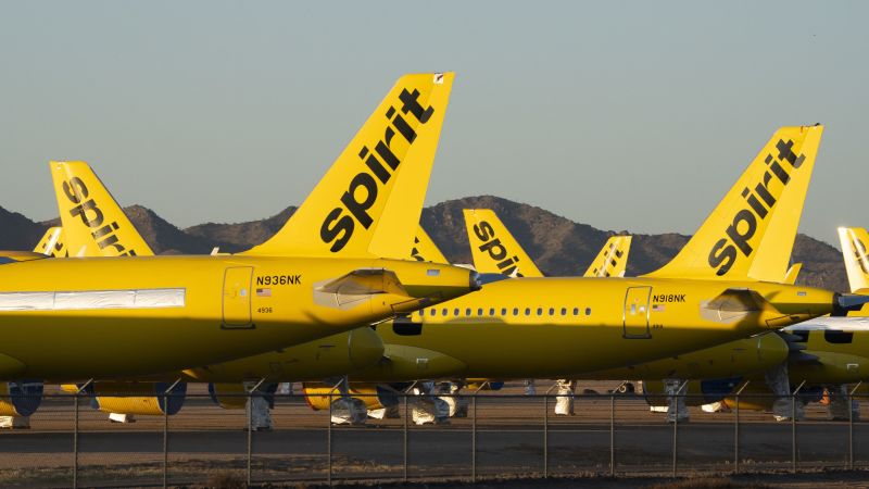 Google compra datos de Spirit Airlines