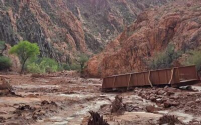 Inundación en el Gran Cañón deja un muerto y desaparecidos.