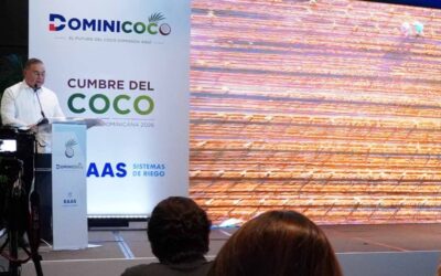 Producción de coco en RD: Oportunidades de crecimiento