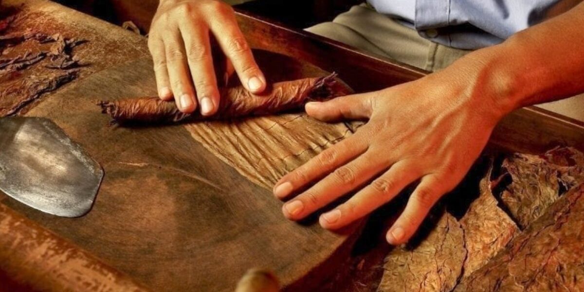 Tabaco dominicano éxito exportaciones